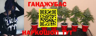 дживик Кинель