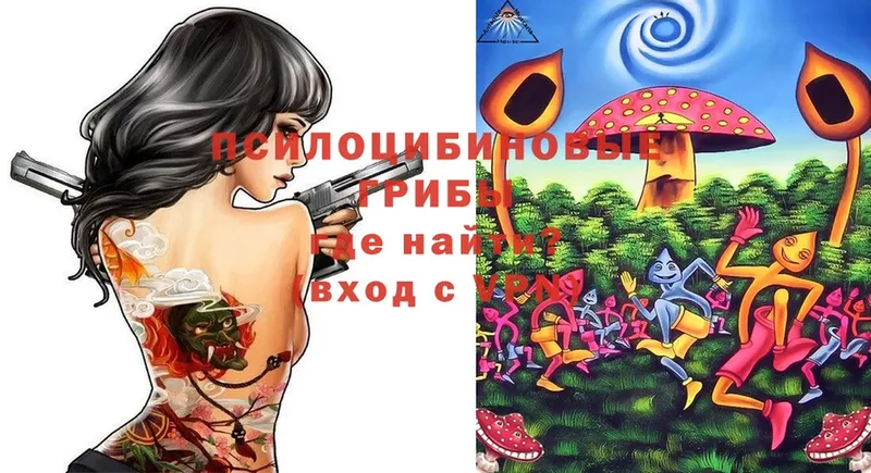 Галлюциногенные грибы Magic Shrooms  где найти   Серов 