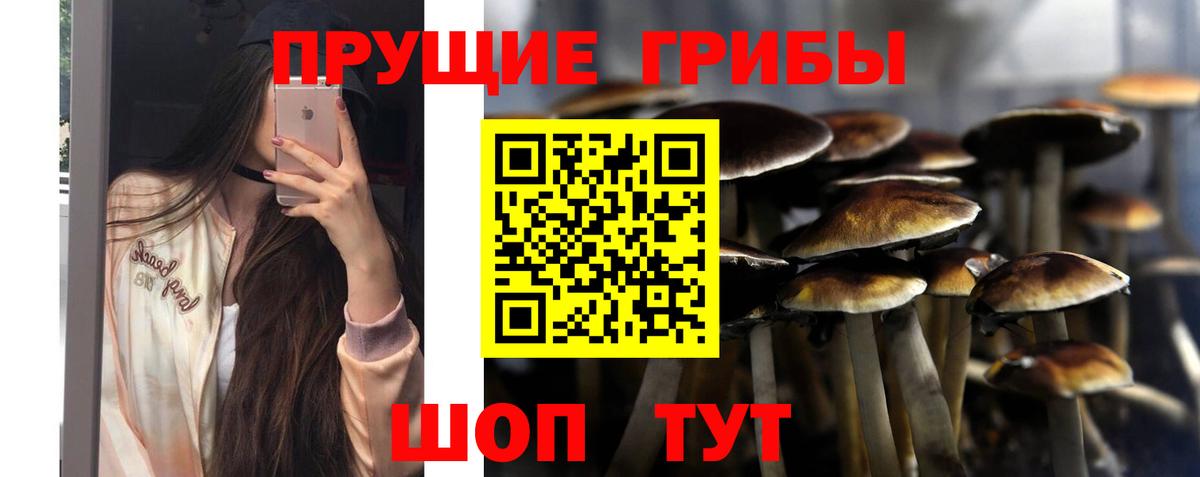 Псилоцибиновые грибы MAGIC MUSHROOMS  Серов 